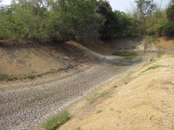 Dried-out pond at Annapurna Farm
