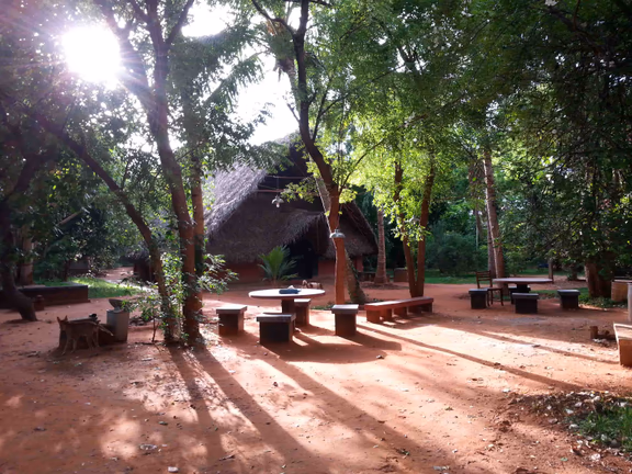 Adishakti campus - a creator's paradise