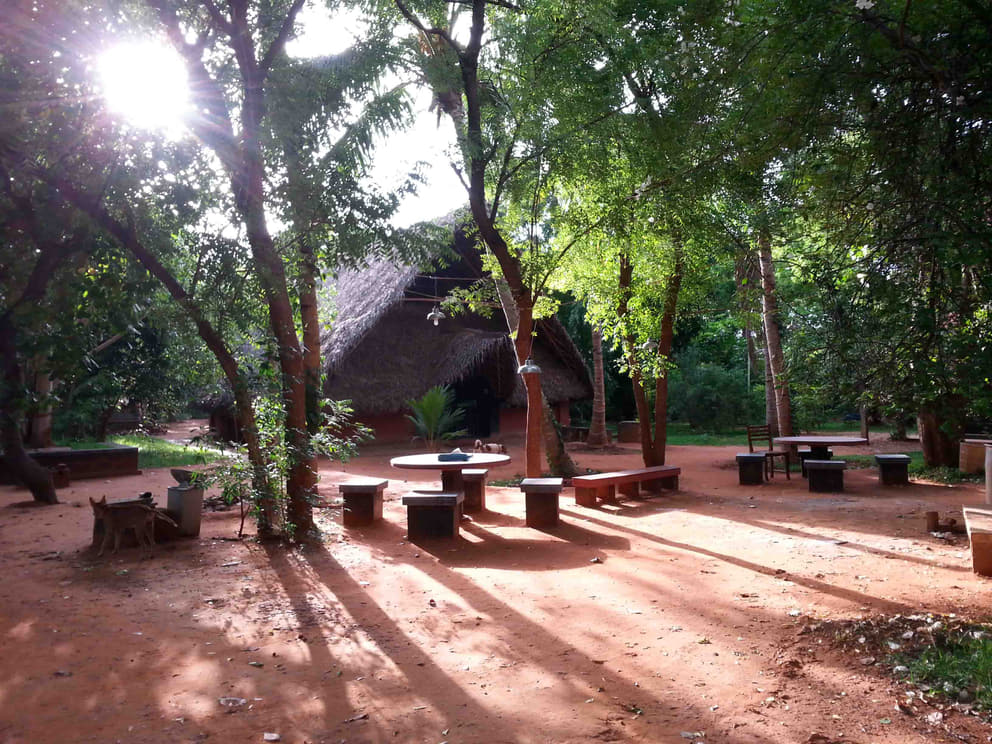Adishakti campus - a creator's paradise