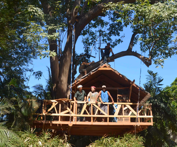 Philipp, Kim and lIango on the treehouse platform with Luke and Sathyaji in the tree