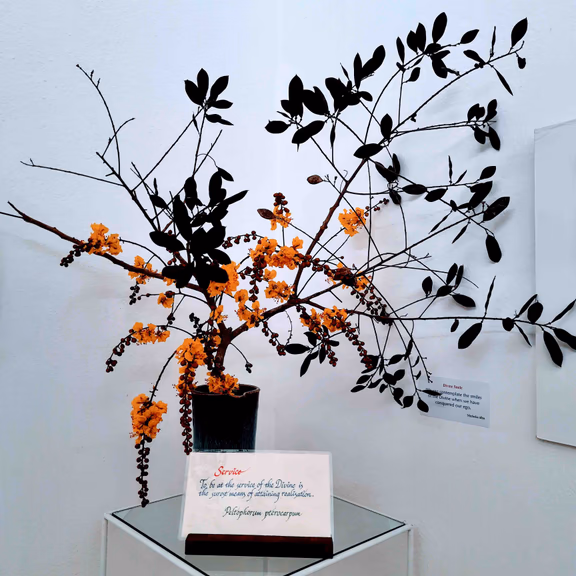 “Service” arrangement