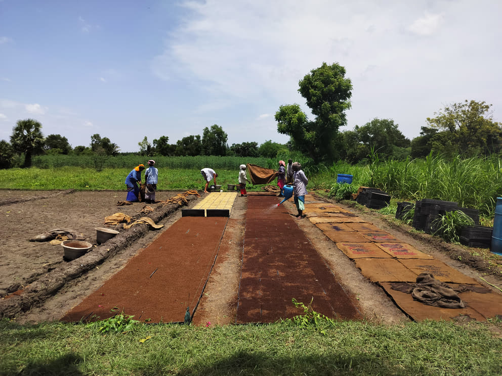 Preparing the grounds