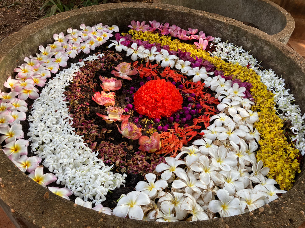 Transforming flowers into New Earth