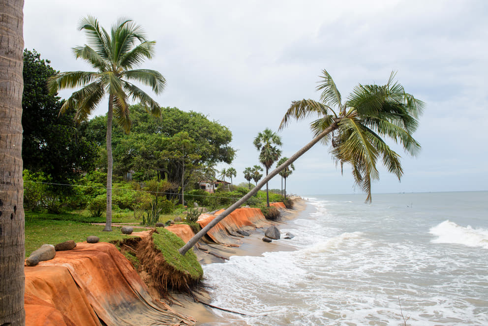 One of Sri Ma’s palm trees is falling into the sea