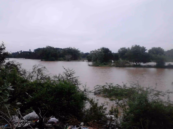 The Alankuppam kolam spilled over