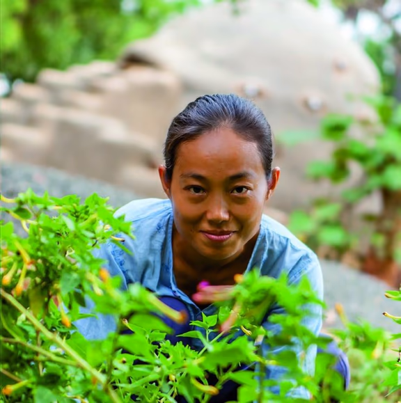Anandi Zhang