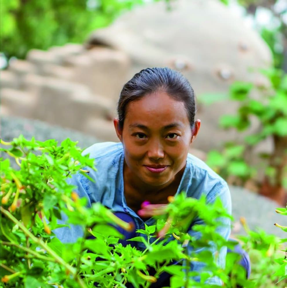 Anandi Zhang