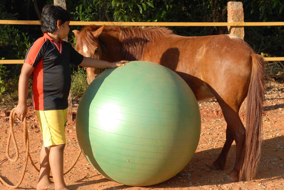 2 Aadi playing a friendly game with Amber