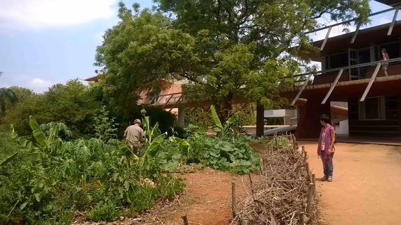 Circle garden at Town Hall