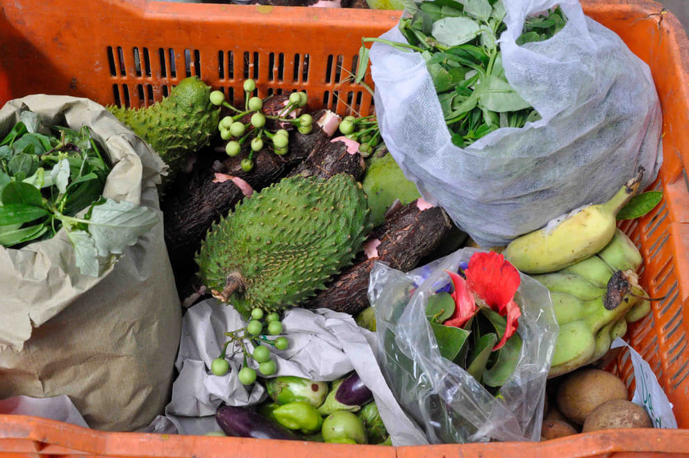 A food basket at Solitude Farm