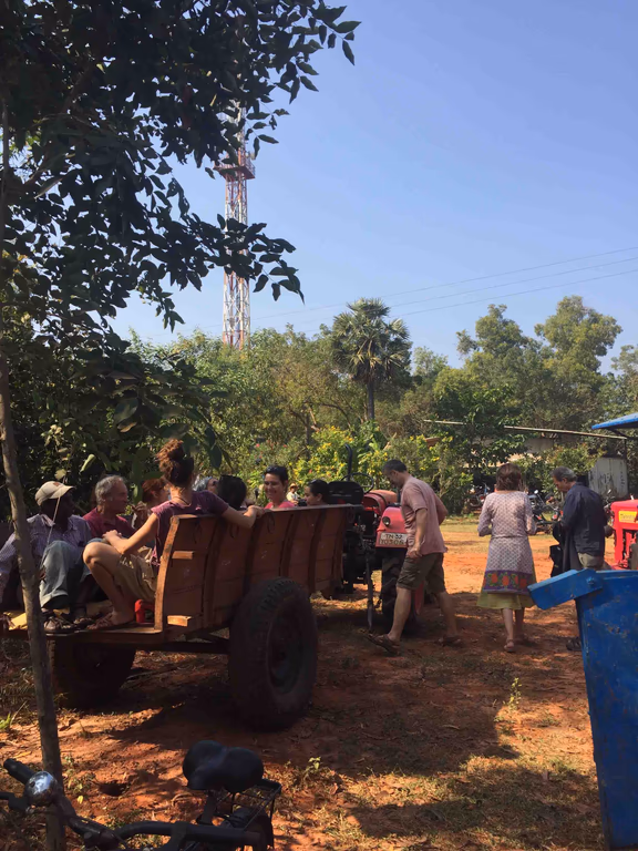 A visit to Discipline Farm during the Farm Festival
