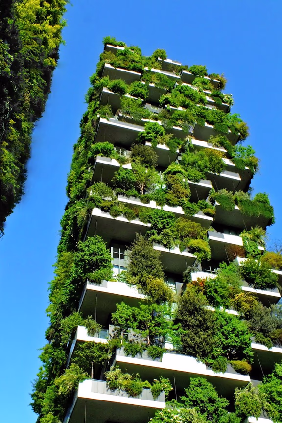 The vertical forest in Milano