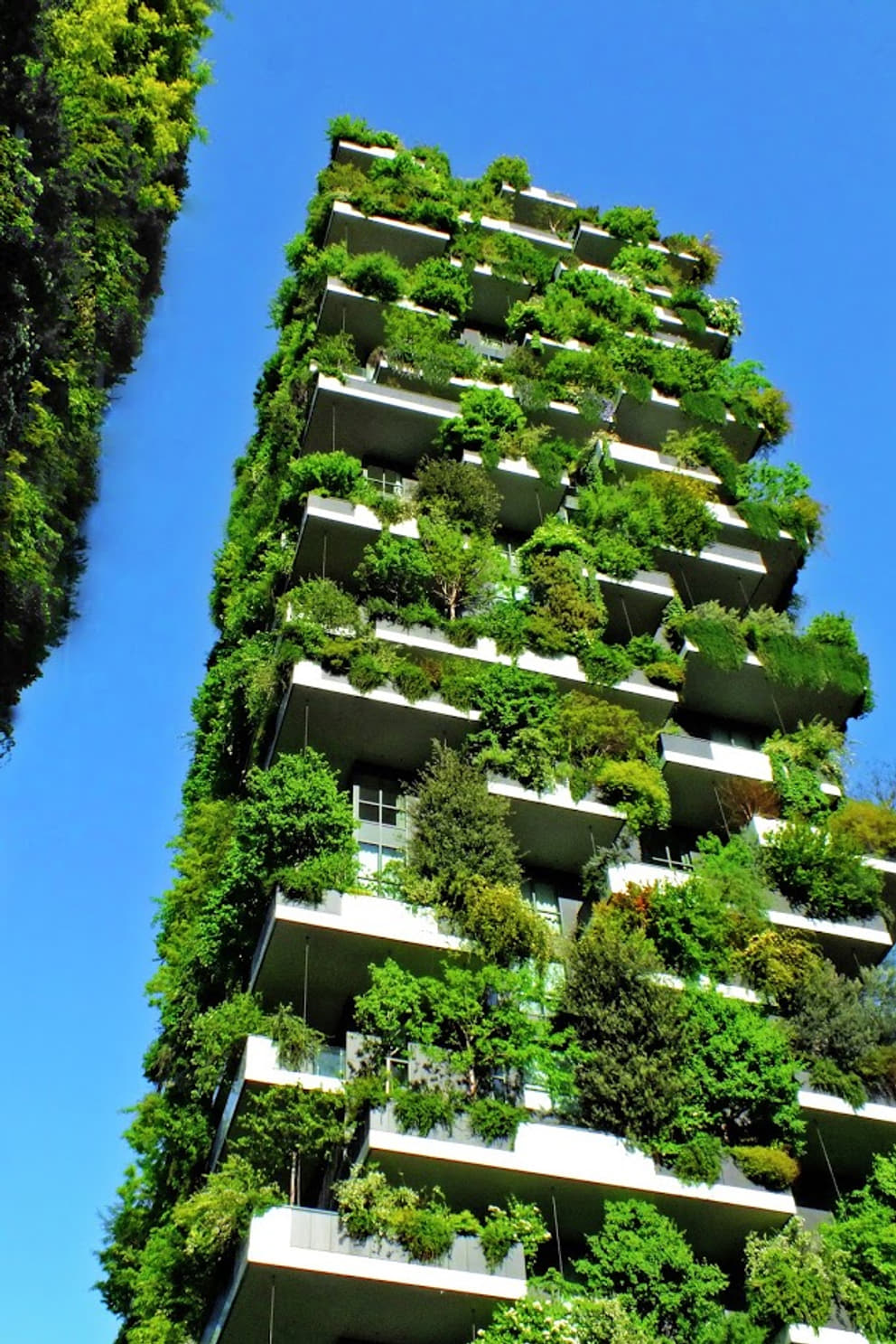 The vertical forest in Milano