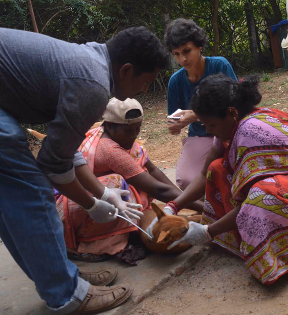 The IACC team with Foxy, a crippled dog
