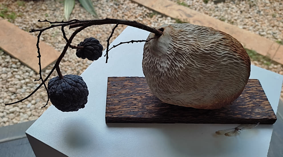 Ikebana with sitaphal