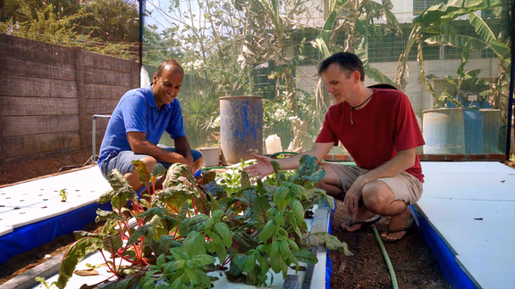Alok's (left) and Satyavan's hydroponics experiment