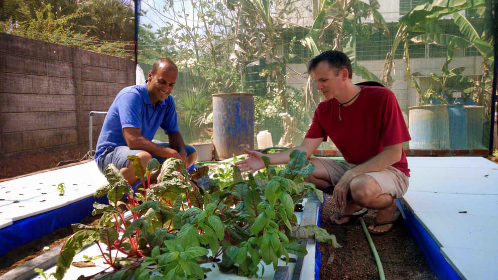 Alok's (left) and Satyavan's hydroponics experiment