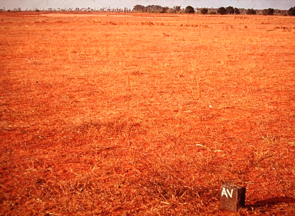 Barren land with boundry marker, 1968-75